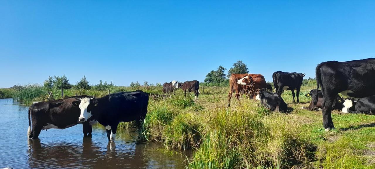 Huisje Beukers Villa Giethoorn Dış mekan fotoğraf