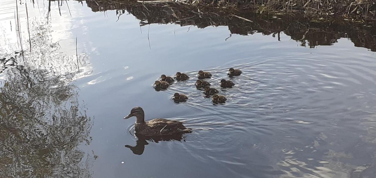 Huisje Beukers Villa Giethoorn Dış mekan fotoğraf