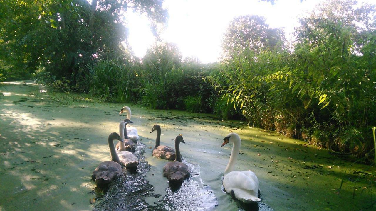 Huisje Beukers Villa Giethoorn Dış mekan fotoğraf